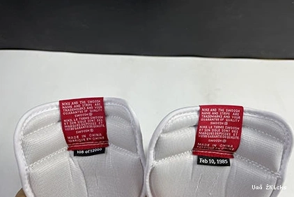 Comfortable 100 DA2728 1 217 Air Trophy Room x High Jordan OG 0827